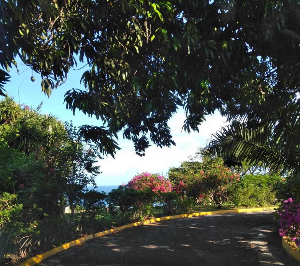 Irresistible View-Mobay Club 1408 Apartment Montego Bay Luaran gambar
