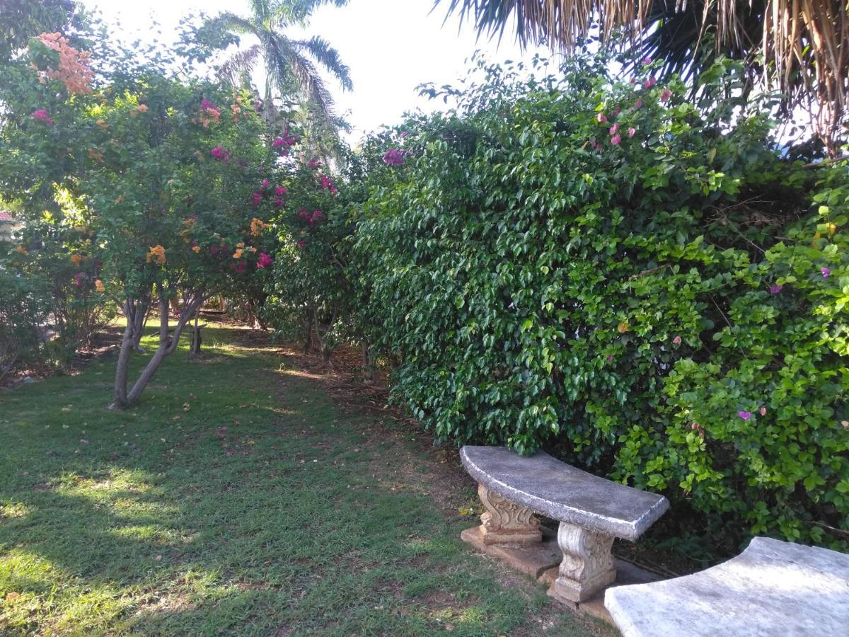 Irresistible View-Mobay Club 1408 Apartment Montego Bay Luaran gambar