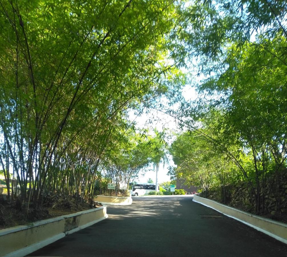 Irresistible View-Mobay Club 1408 Apartment Montego Bay Luaran gambar