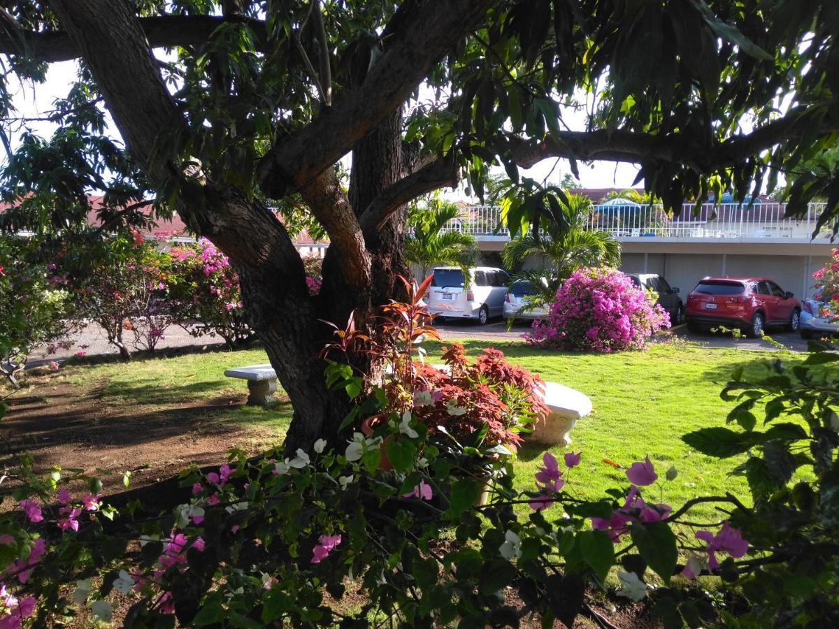 Irresistible View-Mobay Club 1408 Apartment Montego Bay Luaran gambar