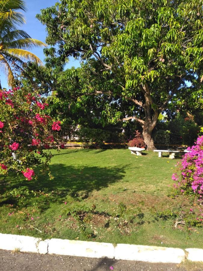 Irresistible View-Mobay Club 1408 Apartment Montego Bay Luaran gambar